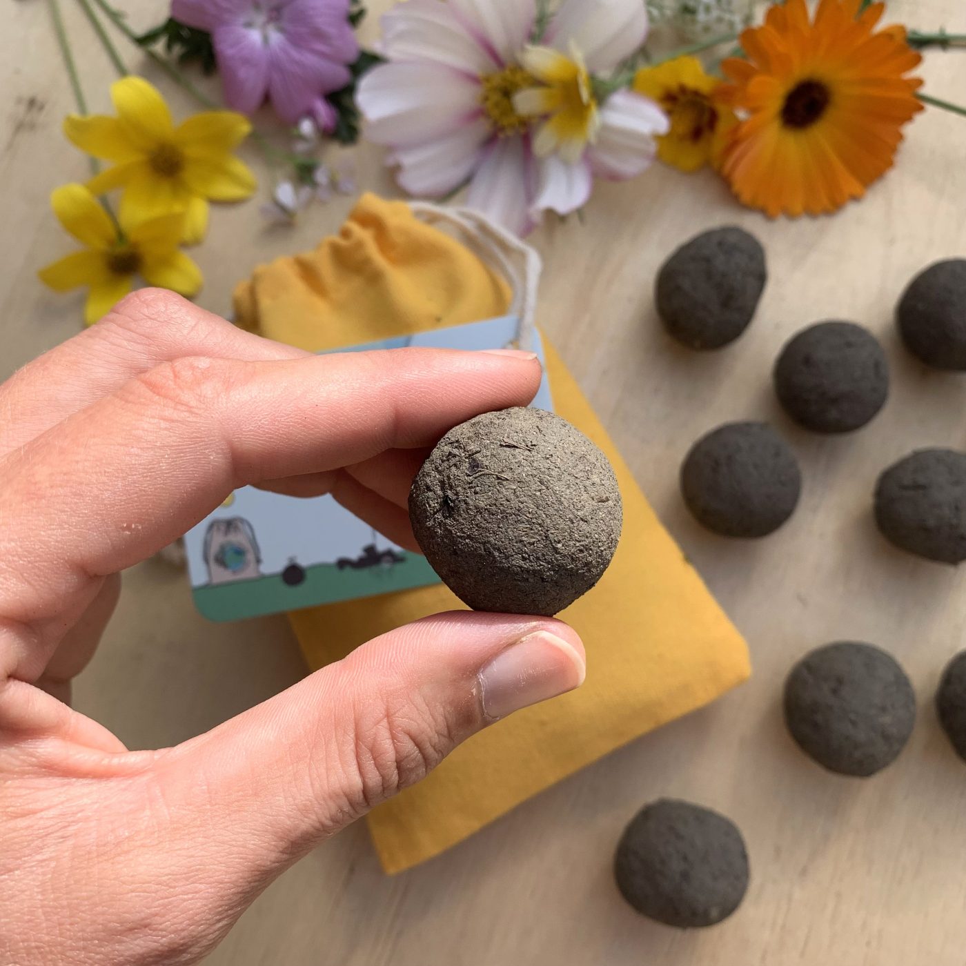 Bienenmischung, 10 im Beutel — Nature Roadshop